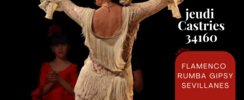 llamas flamenca's - Flamenco rumba animation spectacle gipsy flamenco
