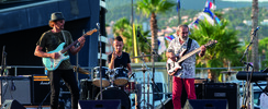 Groupe Mike Pachelli - Blues, 60's Rock, Originals & Jazz