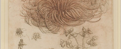 Léonard De Vinci et la Nature