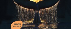 FESTIVAL CONTES ET RENCONTRES - SALON DU LIVRE 