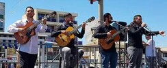 Gipsy sound fiesta - L’émotion de la musique gitane, le feu du flamencogitan