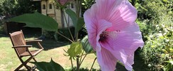 Le Jardin de Boissonna