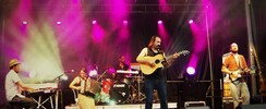 La Mauvaise Herbe - chanson française