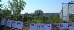 Jardin camerounais du Périgord