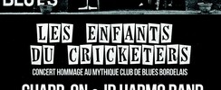 LES ENFANTS DU CRICKETERS