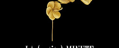 La (petite) minute du papillon - Spectacle 0-5 ans