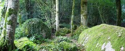 Parc des Parelles