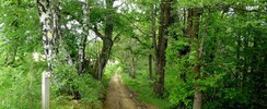 Sentier de découverte du Laring