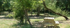 La réserve du Petit Rhône