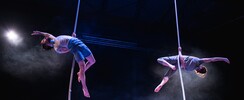 le Duo Pendu - Compagnie de corde-lisse