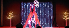 Cie Dreamlighters - The Fairy Cabaret