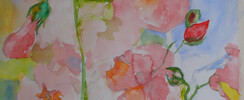 Atelier Rosenbach - Etudiez l'aquarelle