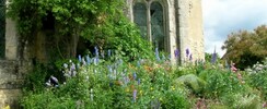 LE JARDIN DU PRIEURE