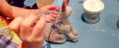Atelier Autan des Couleurs - Ateliers hebdomadaires 