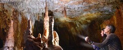 Aven Grotte Forestière