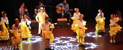 Las estrellas del Su - Cours de flamenco, sevillanes, rumba gipsy et ZUMBA
