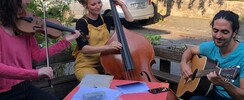 Trio irlandais  - Irish vibes 