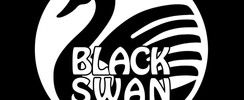 Black Swan - Tribute rock
