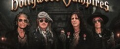 Hollywood Vampires  
