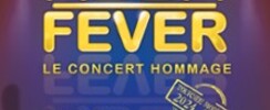 Abba Fever - Concert hommage