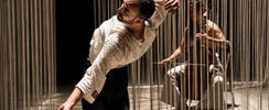 Labes, Selim Ben Safia - Association Al Badil