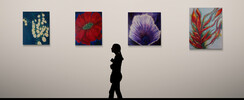 Nathalie Spanoghe - Artiste peintre Nathalie Spanoghe