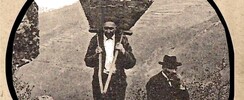 LES PUCES de LA VOULTE