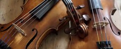 TERRE DE SONS - COURS DE VIOLON TRADITIONNEL