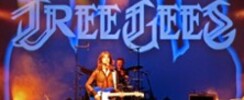 Tree Gees - Tribute Bee Gees