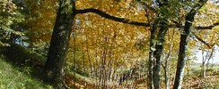 Les Jardin d'Hélys