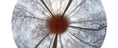 Mireille Roobaert - Photographe