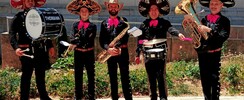 Mariachi Alejandro - Banda, cumbia 