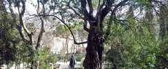 LE JARDIN DES PLANTES