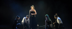 HITS LIVE - SPECTACLES A THEMES ET CONCERTS-SPECTACLES