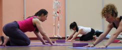 L'air ivre - Cours de YOGA vinyasa