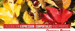 Association Expression Corpor'ailes - Atelier Relax DanSe®