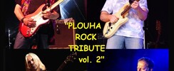 DIMANCHE APERO HOFMANN FAMILY BLUES + YONEL (ONE MAN BAND)