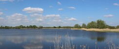 Observatoire de l'Etang Neuf (Domaine du Plessis)