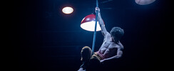 Paul Longuebray - Artiste de cirque / Spectacles et numéros