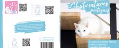 Traduction poésies en langue des signes française