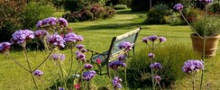 Les Jardins ethnobotaniques de Haute Terre