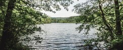 ÉTANG DE L'ERBSENTHAL - RESERVE NATURELLE