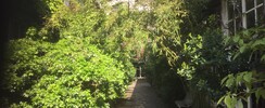 Studio répétitions/cours/stages à Montparnasse