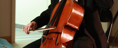 Amacello - François-Xavier Bigorgne - Violoncelliste et Compositeur
