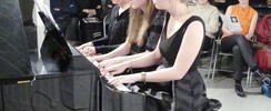 Espace Amadeus Musique - La musique pour le plaisir