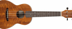 JAZZ BOND ASSOCIATION - ATELIER DE UKULELE