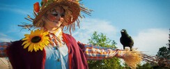 Graines de bonheur - Art'monie - déambulation poétique participative