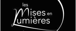 Les Mises en Lumières - Catalogue de projets artistiques disponibles