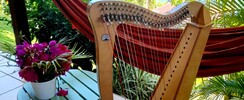 Violaine la harpiste  - Harpe celtique pour mariage 