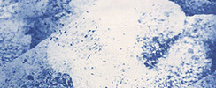 Exposition Brigit Ber - JIZZ